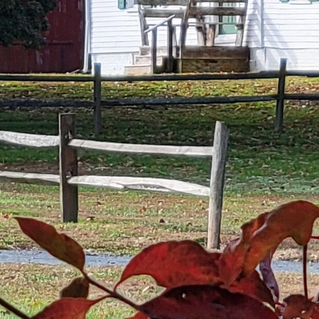 20211117 103812 930x620