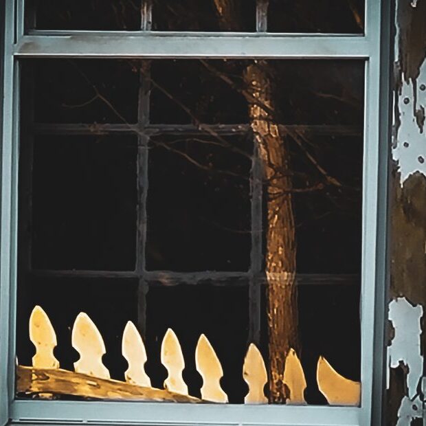 20211213 080617 930x620