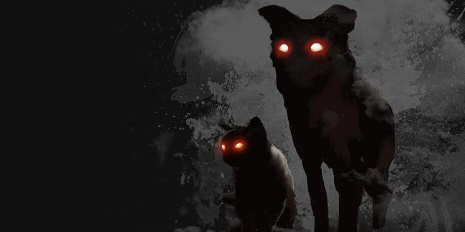 Demoncat 660x400@2x 930x620