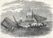 Whaling in the south seas date illustrated london news ltdmar 900x620