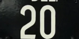 Delaware-tag-20-300×300 Delaware tag 20 300x300