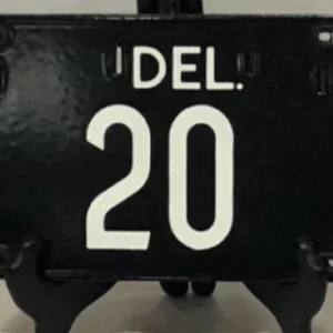 Delaware tag 20 300x300