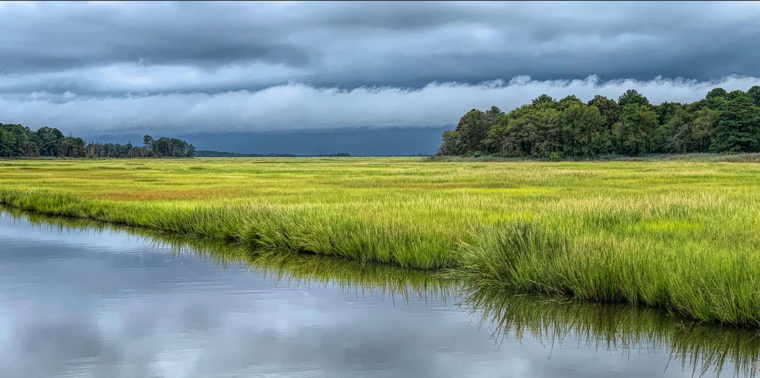 Turning the Tide for Delaware Bay