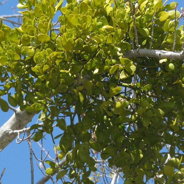 Kerry-Wixsted-Flickr-Prime-Hook-930×620 Kerry wixsted flickr prime hook 930x620