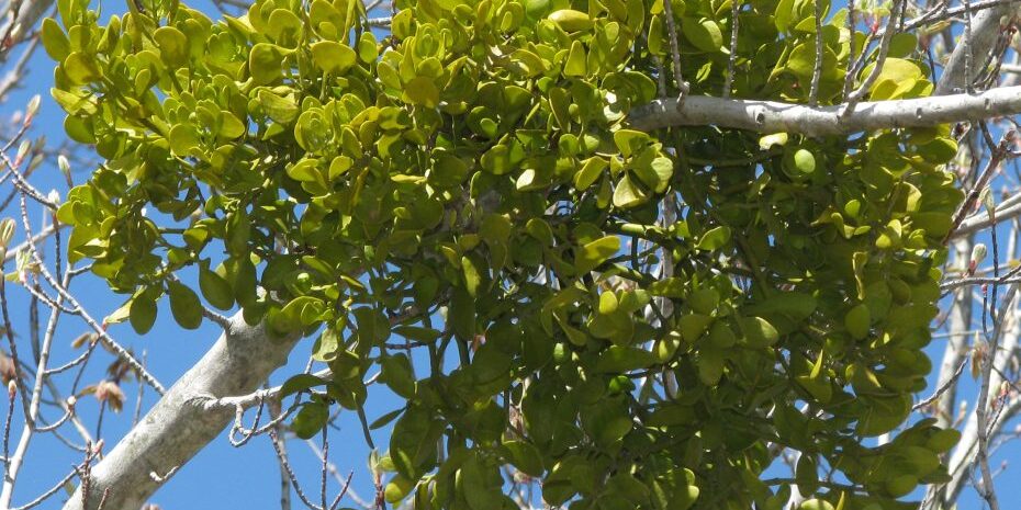 Kerry-Wixsted-Flickr-Prime-Hook-930×620 Kerry wixsted flickr prime hook 930x620