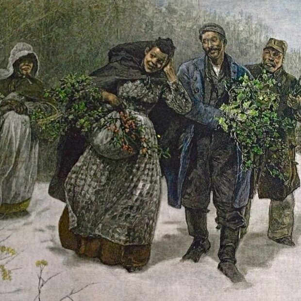 gathering-christmas-evergreens-930×620 Gathering christmas evergreens 930x620