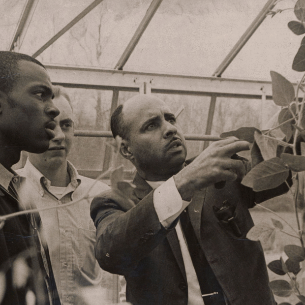 Ulysses washington in a greenhouse 930x620