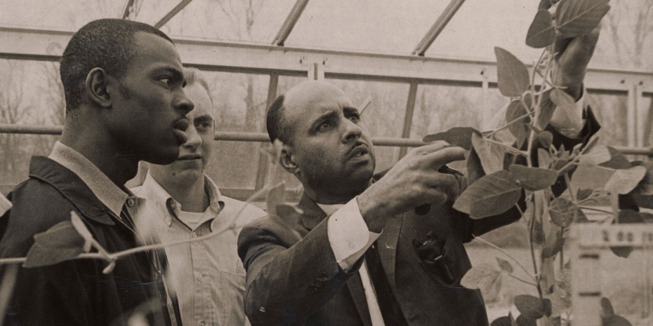 Ulysses-washington-in-a-greenhouse-930×620 Ulysses washington in a greenhouse 930x620