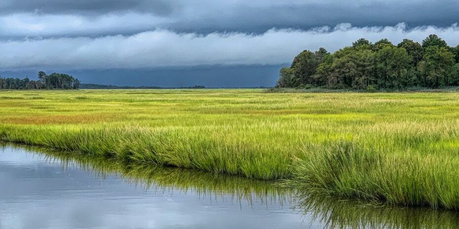 delaware-bay-edge-at-storm-930×620 Delaware bay edge at storm 930x620