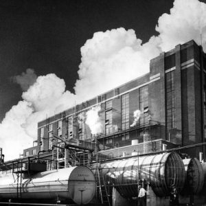 Islandora 2223093 jpg 300x300