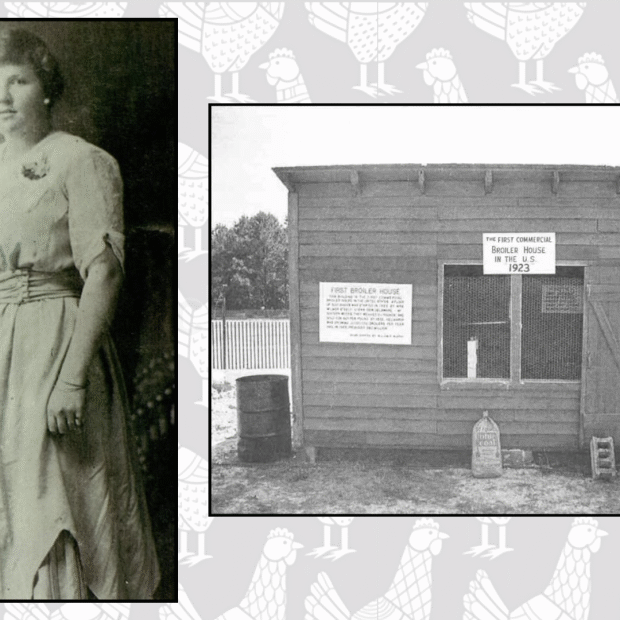 Steele with original house 930x620