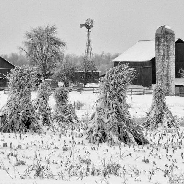winter-crops-paul-keske_flickr-930×620 Winter crops paul keske flickr 930x620