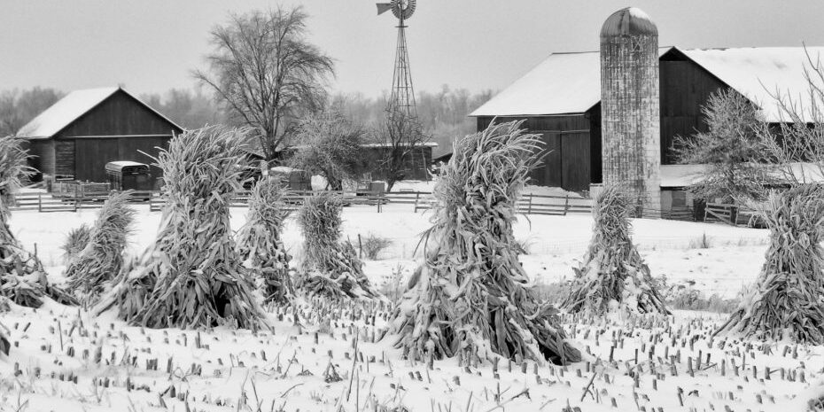 winter-crops-paul-keske_flickr-930×620 Winter crops paul keske flickr 930x620